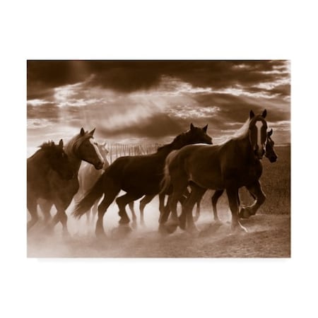 Monte Nagler 'Running Horses And Sunbeams Rothbury Michigan' Canvas Art,35x47